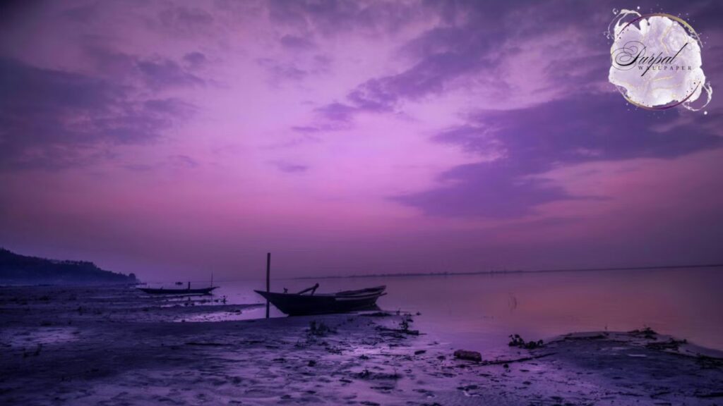 Puprple Wallpaper Room