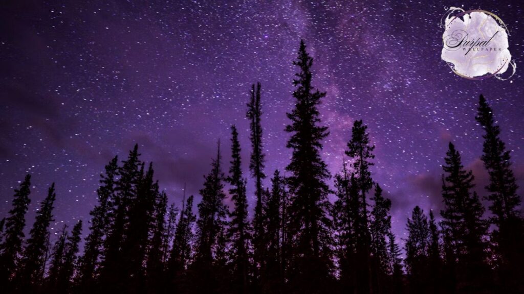 Puprple Wallpaper Room Design