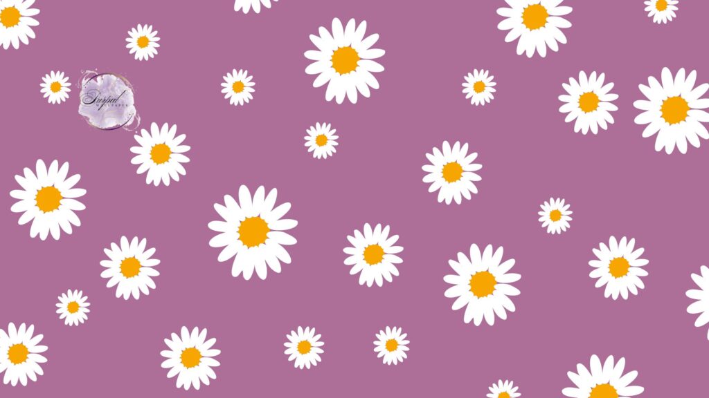 Soft Purple Daisy Desktop Wallpaper