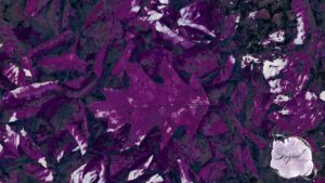 Black and Purple Wallpaper