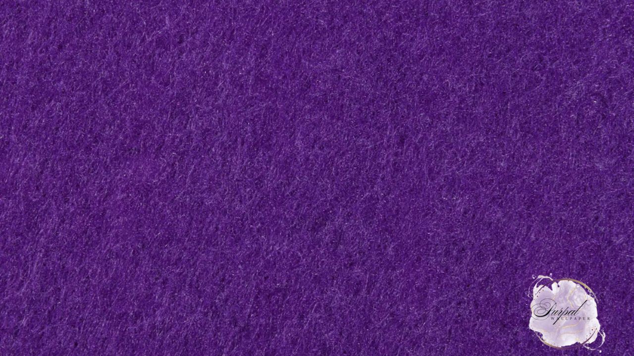 Plain Purple Wallpaper